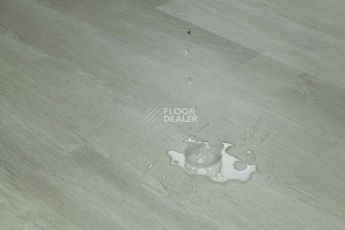 Tarkett Funky House CRUZE фото 9 | FLOORDEALER